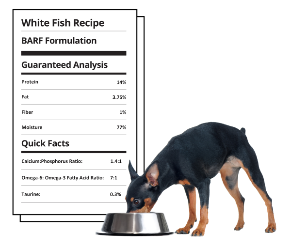 Steve s Real Food Frozen Raw Dog Food White Fish Recipe Online now